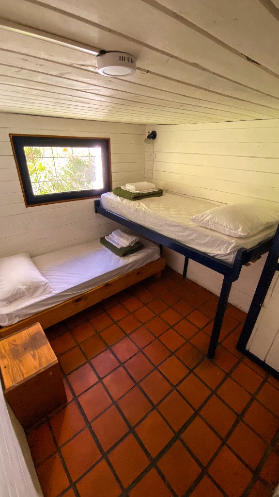 Habitación estilo cabaña con ventana al jardín